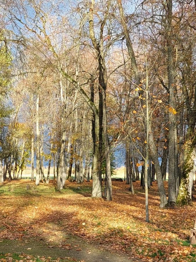Maple Park * Каунас